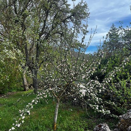 Bustillo Del Paramo El Pecu Casa Rural Starfamiliar מראה חיצוני תמונה