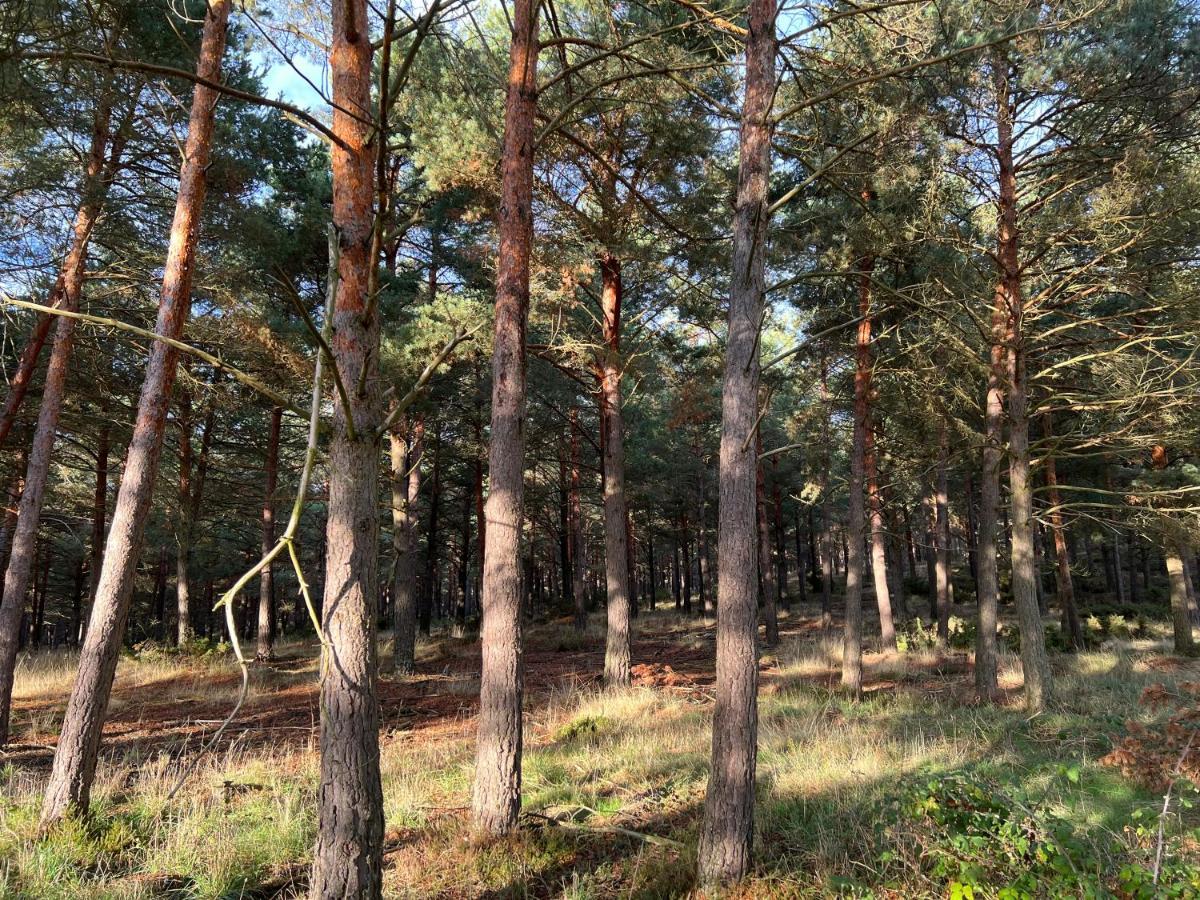 Bustillo Del Paramo El Pecu Casa Rural Starfamiliar מראה חיצוני תמונה