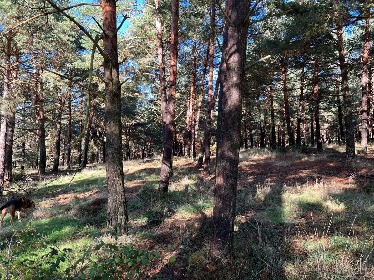Bustillo Del Paramo El Pecu Casa Rural Starfamiliar מראה חיצוני תמונה