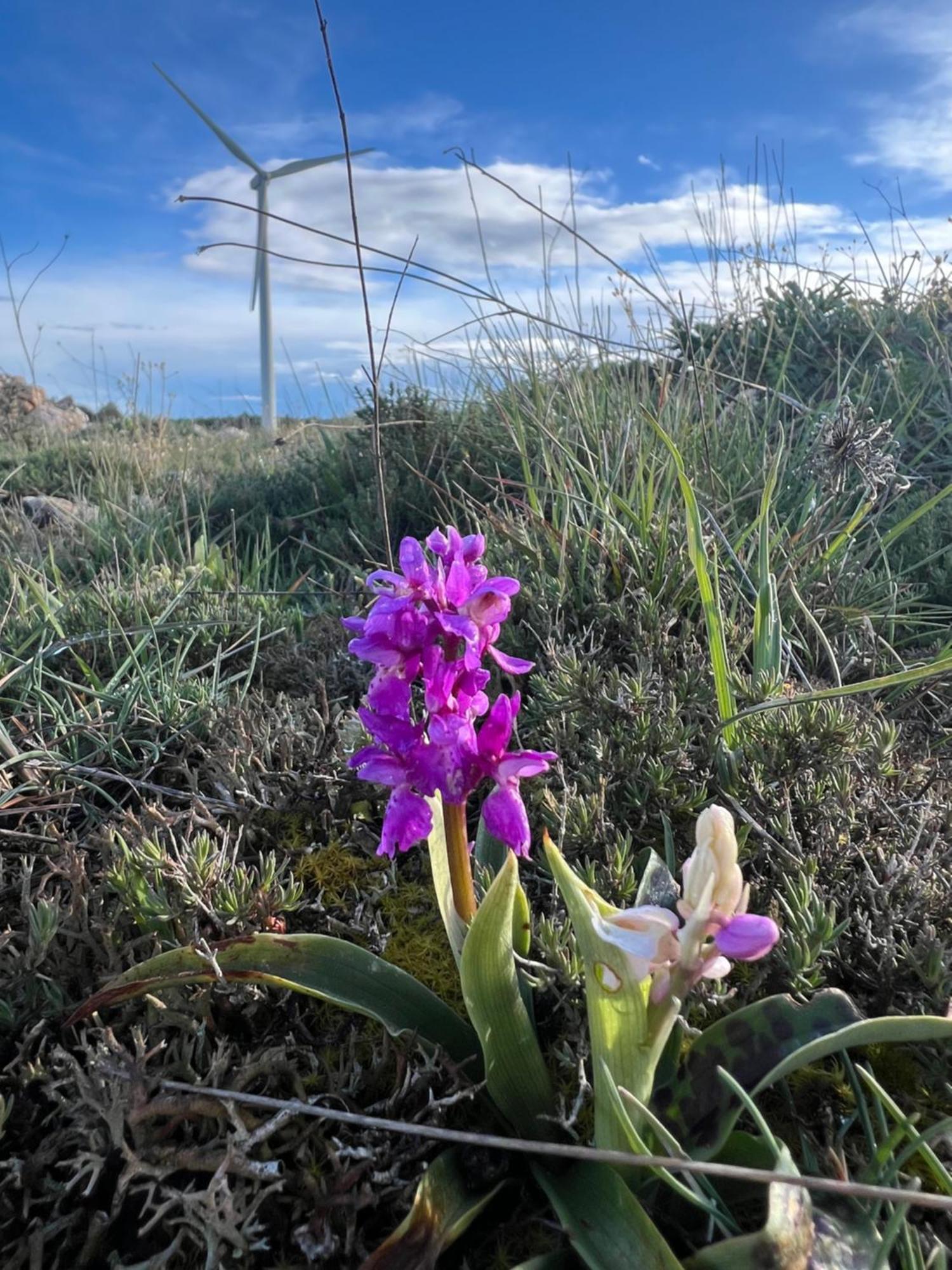 Bustillo Del Paramo El Pecu Casa Rural Starfamiliar מראה חיצוני תמונה