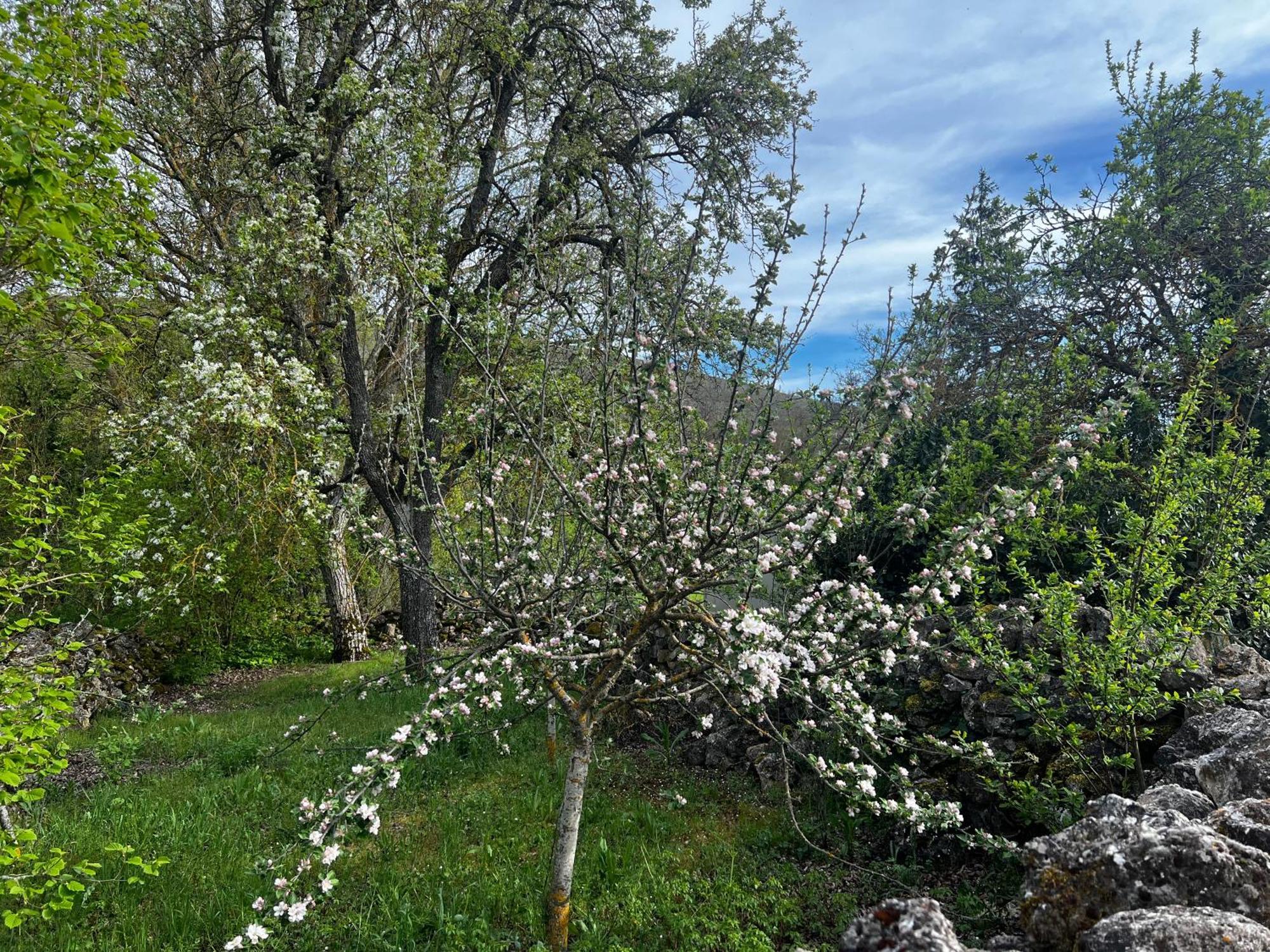 Bustillo Del Paramo El Pecu Casa Rural Starfamiliar מראה חיצוני תמונה